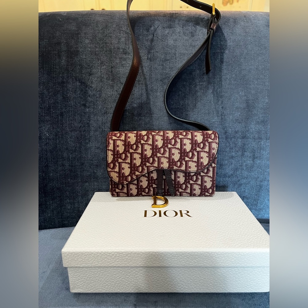 Dior Saddle belt pouch
